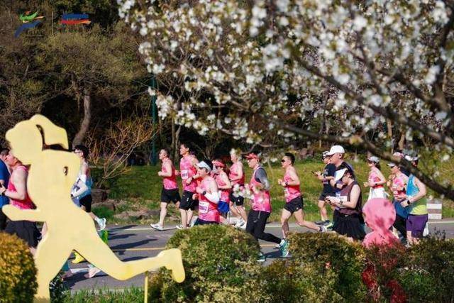 陪跑一场6000元，马拉松赛场上奔跑的“私兔”什么来头