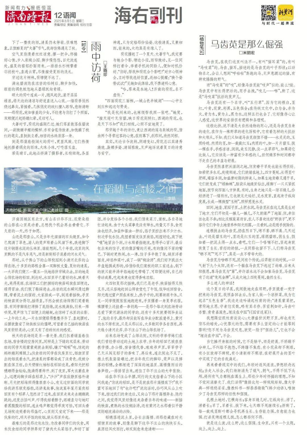 济南将新添一家“胖东来式”超市,下月底开业