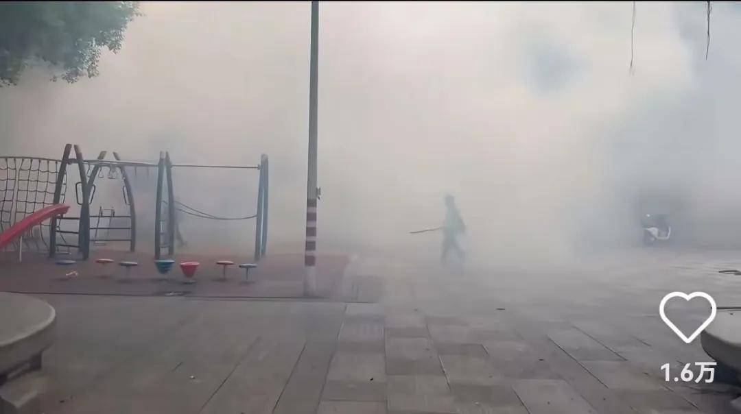 全民灭蚊总动员,大广东给我们上了一课