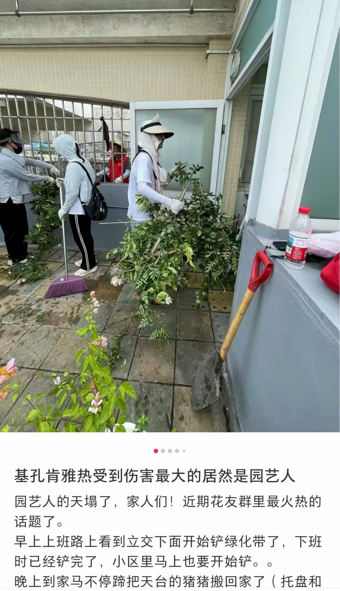 全民灭蚊总动员,大广东给我们上了一课