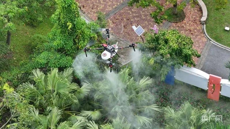 全民灭蚊总动员,大广东给我们上了一课