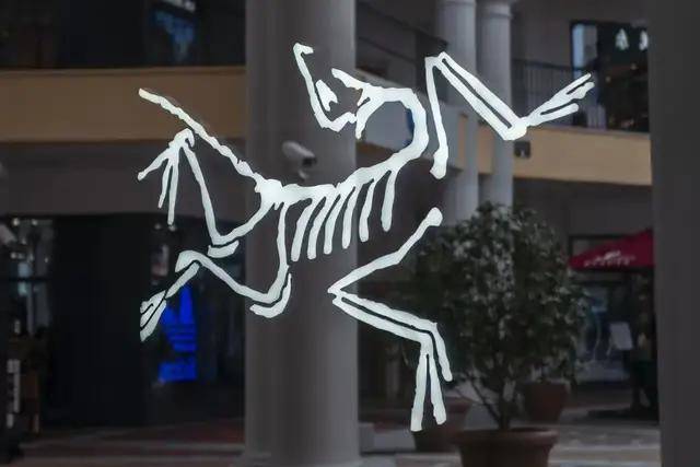 “炸走”安踏125亿,始祖鸟为何在青藏高原放烟花?