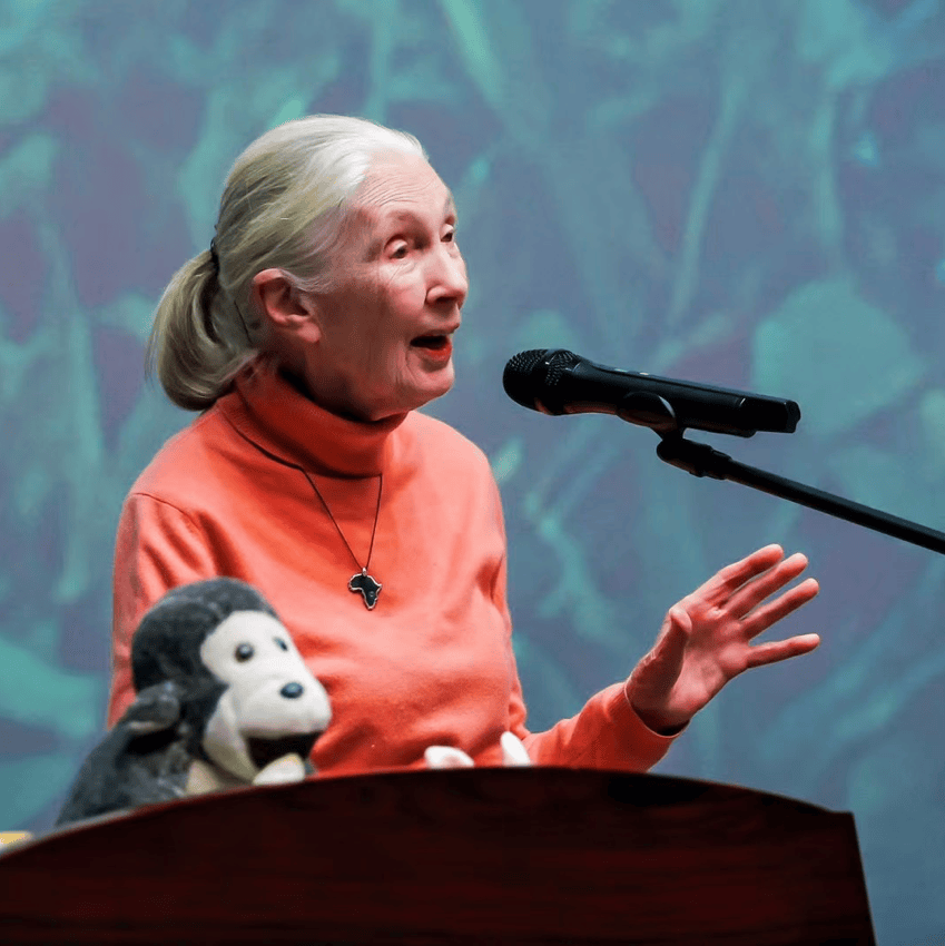 纪念珍·古道尔:“不能只靠科学改变世界,我们还需要希望”