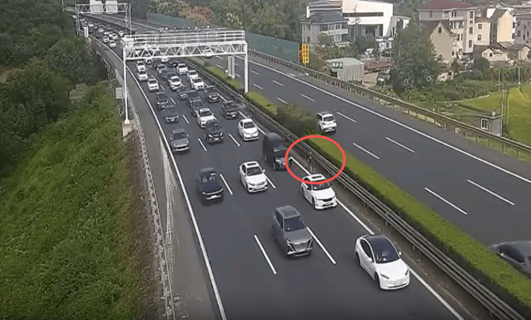 小男孩独自在高速上奔跑,过往车辆纷避让,家长下车方便时娃丢了