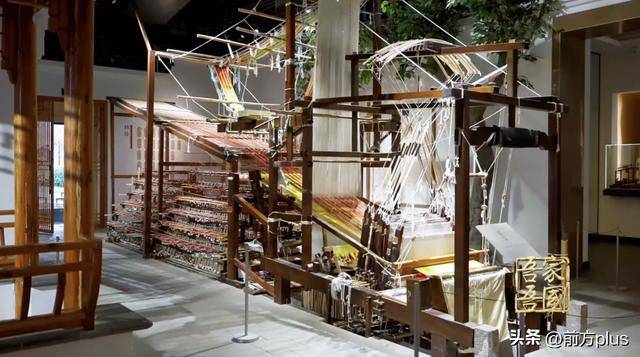 她以丝为材,设计出人造血管!