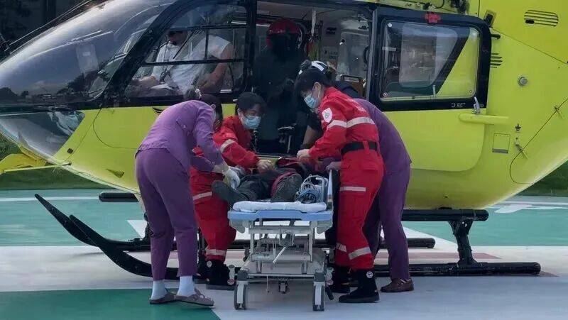 深圳一市民突遭马蜂围袭!已进入高发期,千万别招惹!