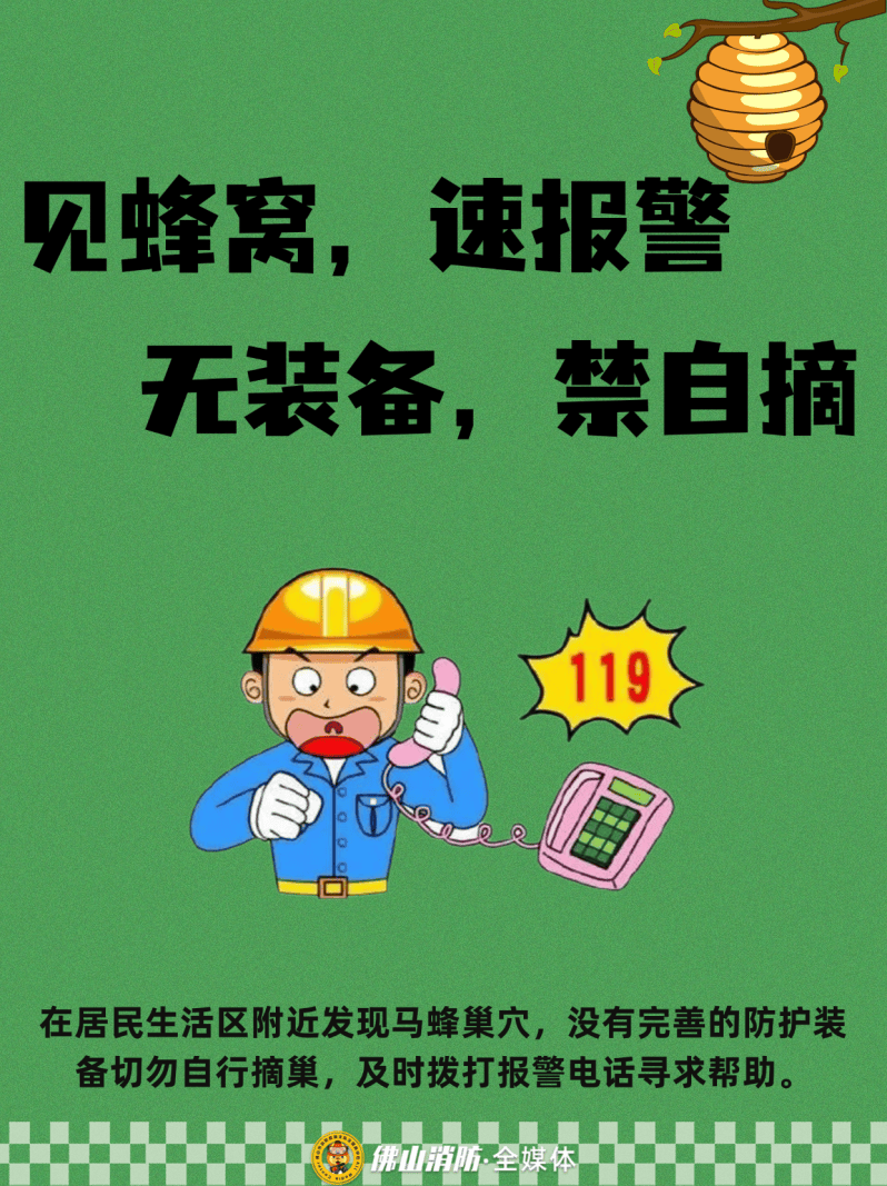 深圳一市民突遭马蜂围袭!已进入高发期,千万别招惹!