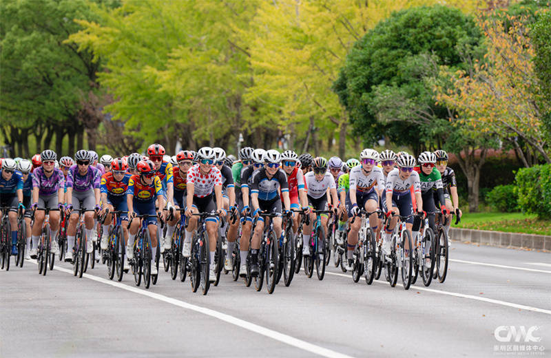 比赛收官!在崇明感受生态与体育的“双向奔赴”