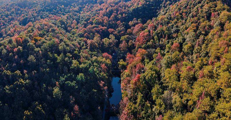 霜降已到,全国红叶上线中!这些“出片宝地”藏不住了