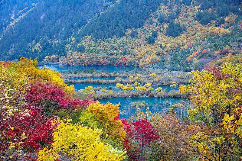 霜降已到,全国红叶上线中!这些“出片宝地”藏不住了